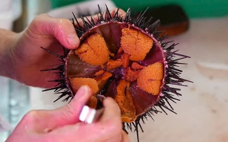 nhum nướng mỡ hành ảnh 3