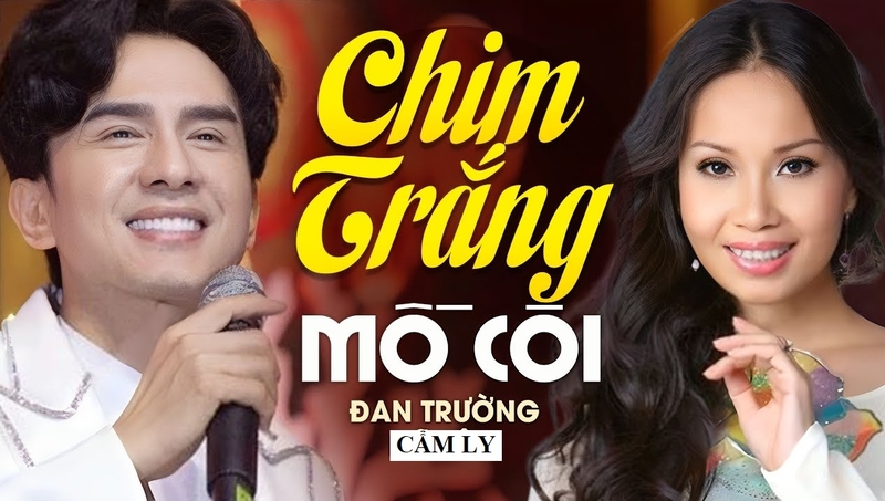 những bài hát karaoke hay cho nam 8