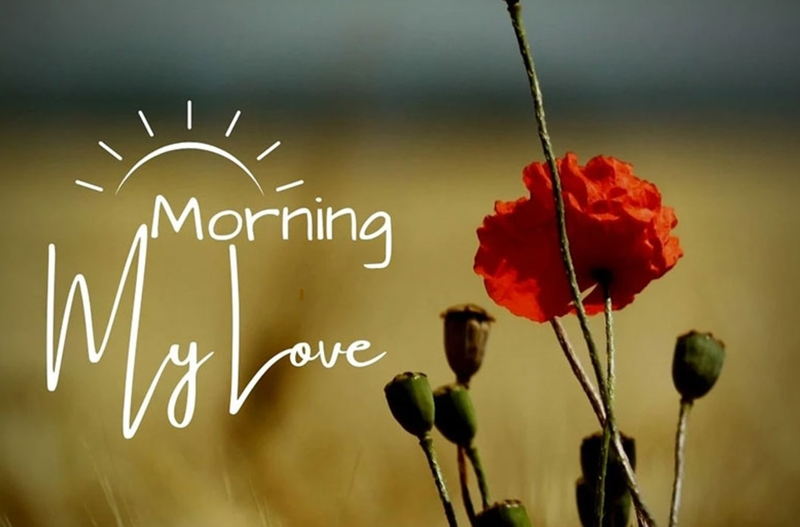 những câu chúc hay ảnh 3