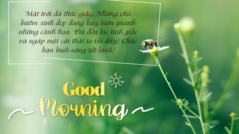 những câu chúc hay ảnh 4