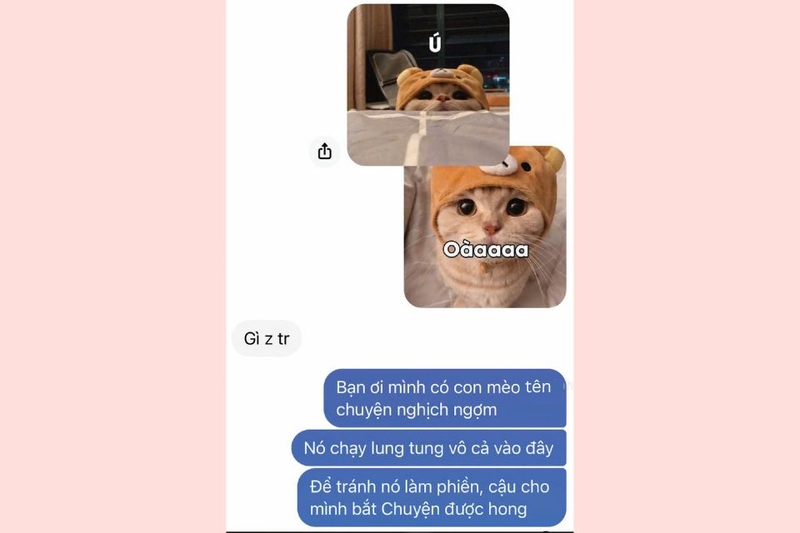 Gửi một meme ngộ nghĩnh kèm lời nhắn