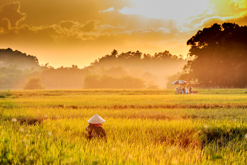 Mắt người Sơn Tây