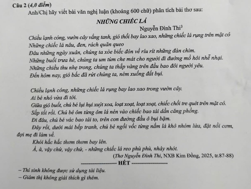 nhung-chiec-la-3.png