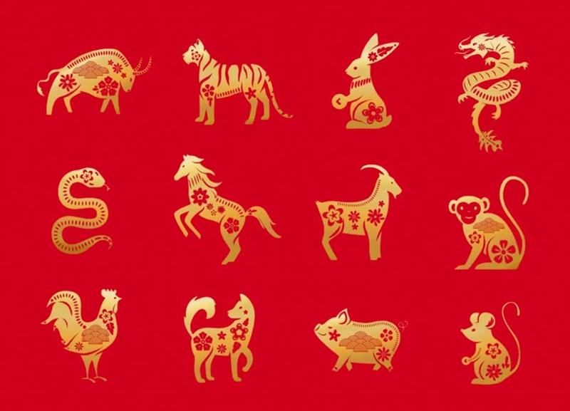 Những con số may mắn - 05