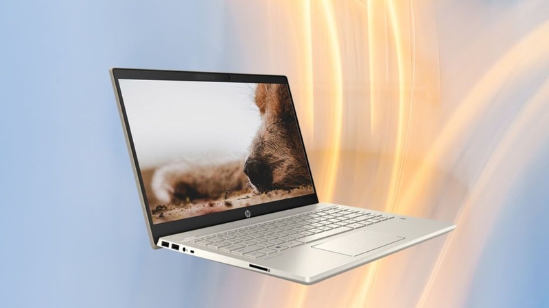 những điều cần lưu ý khi mua laptop 2