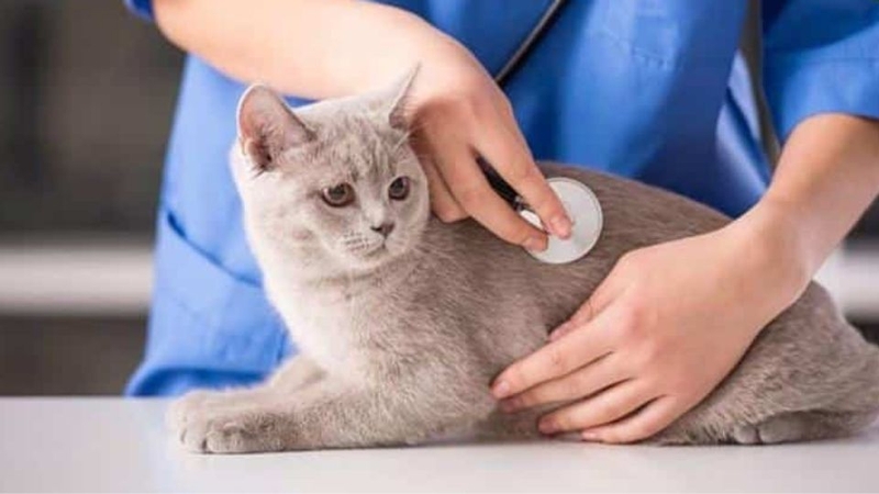 Những ý tưởng kinh doanh ở Trung Quốc 3
