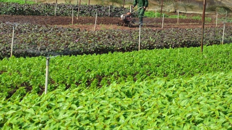 Những ý tưởng kinh doanh ở Trung Quốc 6