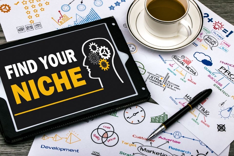 niche market là gì (ảnh 5)