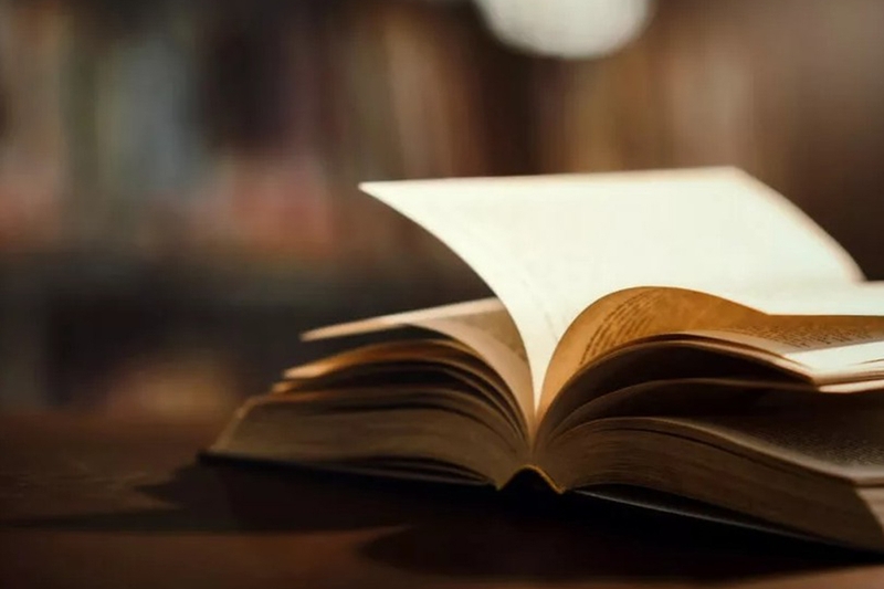 Nội dung là gì 11