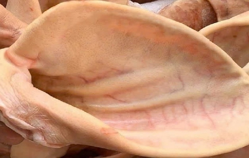 nộm hoa chuối tai heo ảnh 3