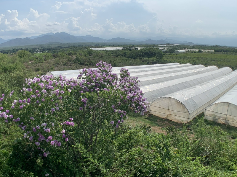 Cơ hội và thách thức