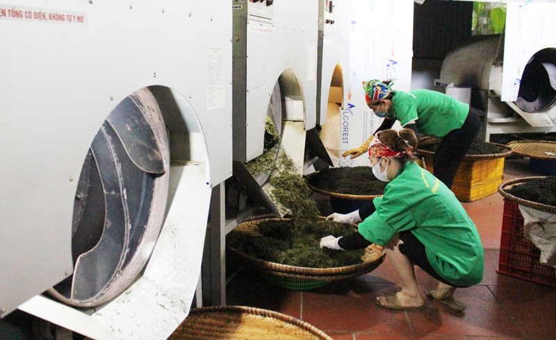 HTX nông sản Phú Lương