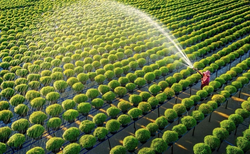 nong nghiep xanh la gi