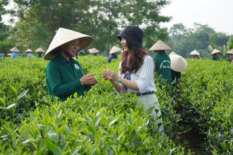 nong nghiep xanh ket hop du lich