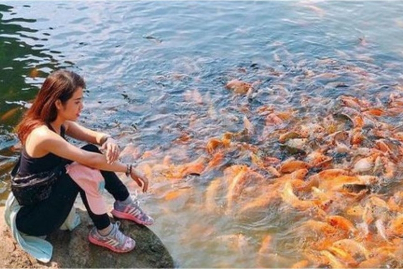 Nghỉ chân bên hồ Thủy Liêm yên ả