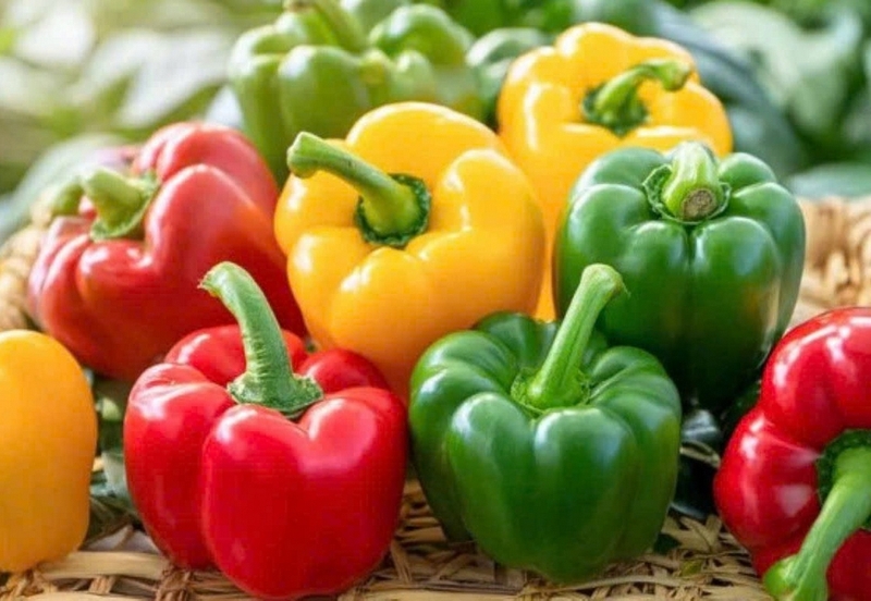 nui xào gà ảnh 7