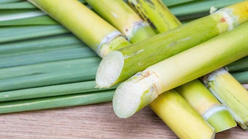 nước dashi là gì ảnh 6