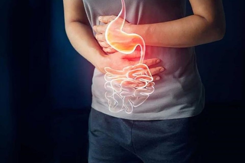 Cải thiện hệ tiêu hóa, chống đầy bụng và táo bón
