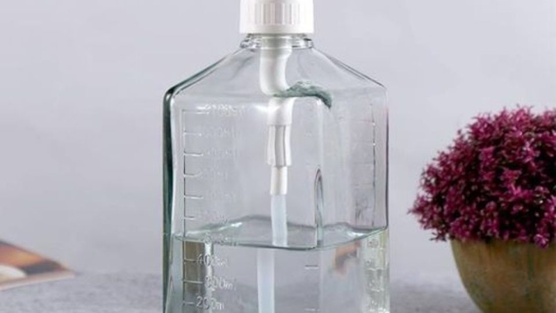 nước đường 5