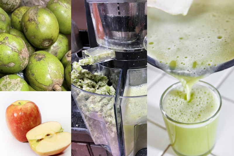 nước ép cóc táo (4)