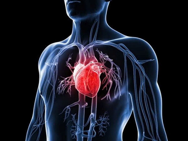 nước ép ớt chuông ảnh 3