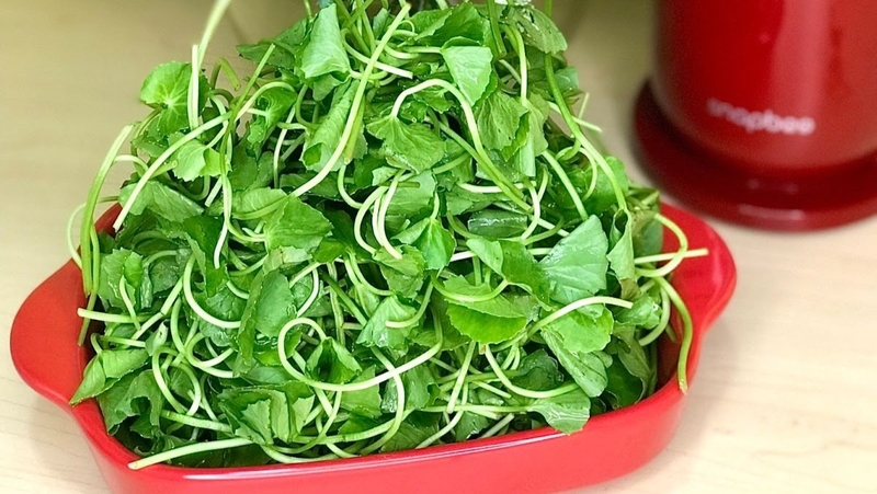 Nước ép rau má dứa ổi 3