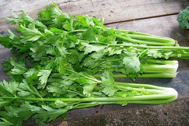 nước ép rau mùi tây ảnh 2