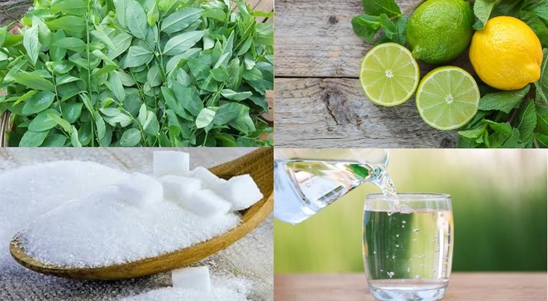 nước ép rau ngót chanh gừng 2