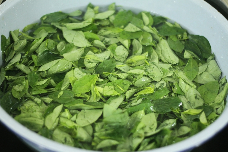 nước ép rau ngót chanh gừng 3
