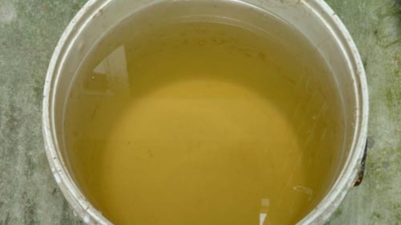 Cách xác định tình trạng nước sinh hoạt bị vàng