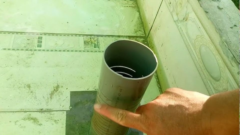 Tảo phát triển trong nguồn nước