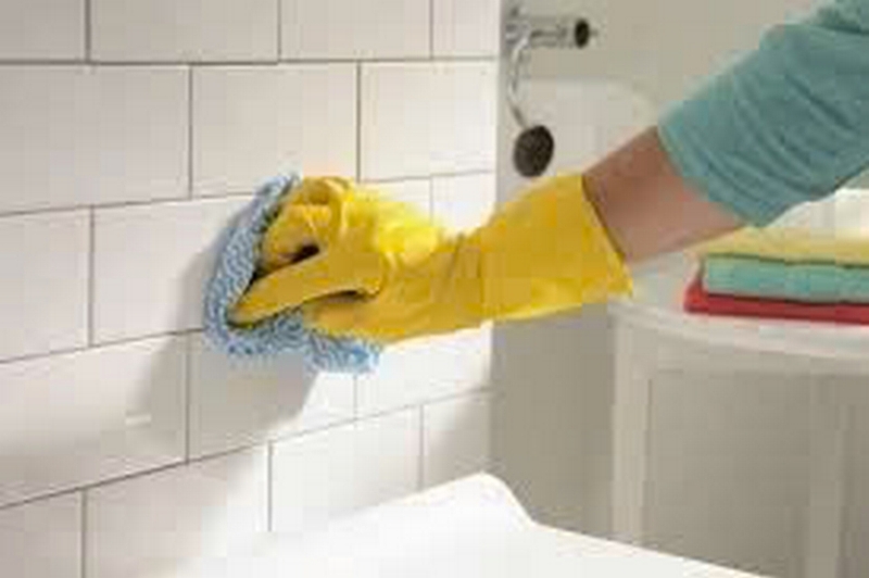 Nước tẩy nhà vệ sinh ảnh 5