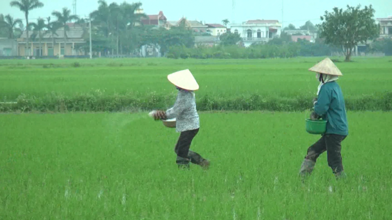 Nước vôi trong 5