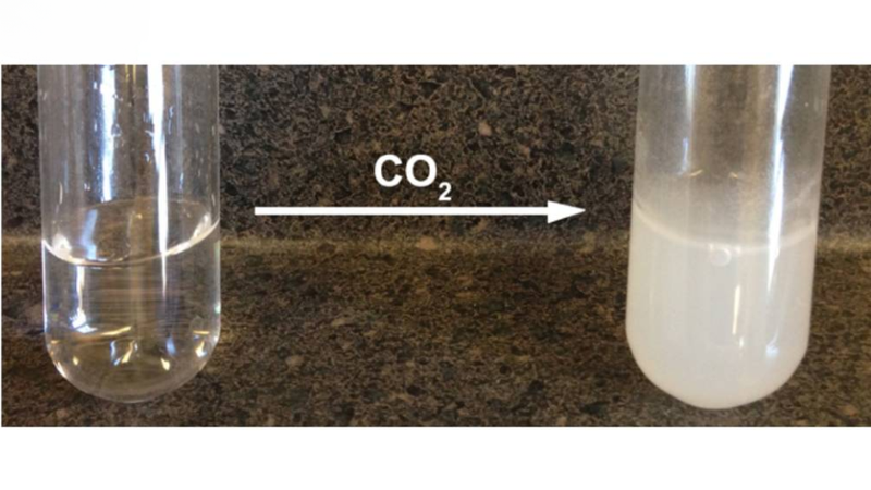 Nước vôi trong 6