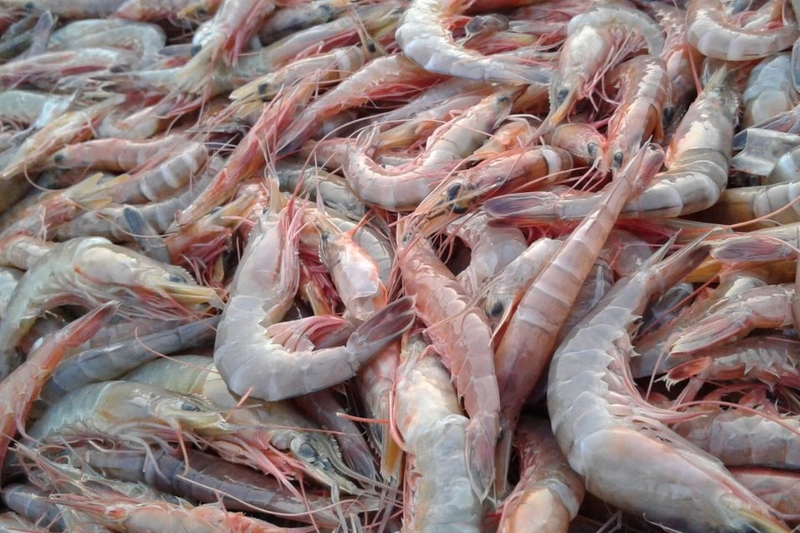 Chuẩn bị nguyên liệu