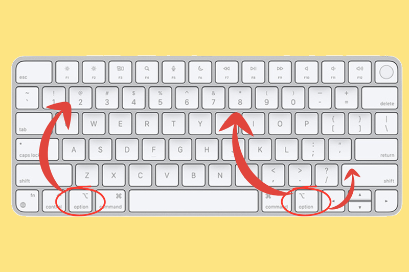 Nhập ký tự đặc biết với nút Option