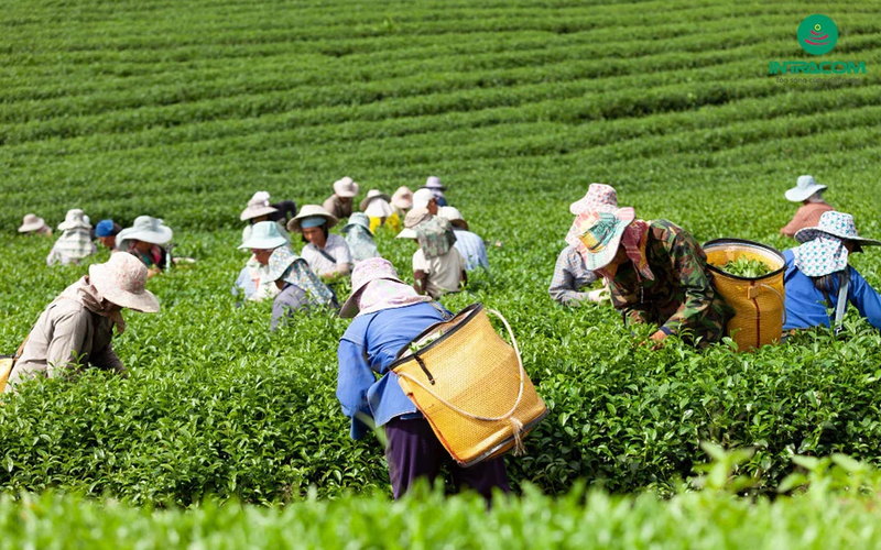 Ô nhiễm môi trường nước là gì (ảnh 5)