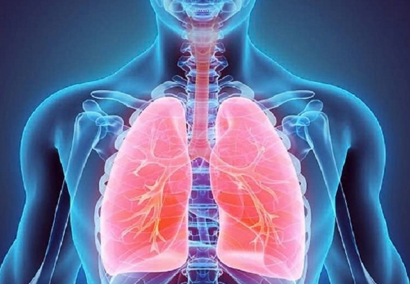 Ốc bông ảnh 5