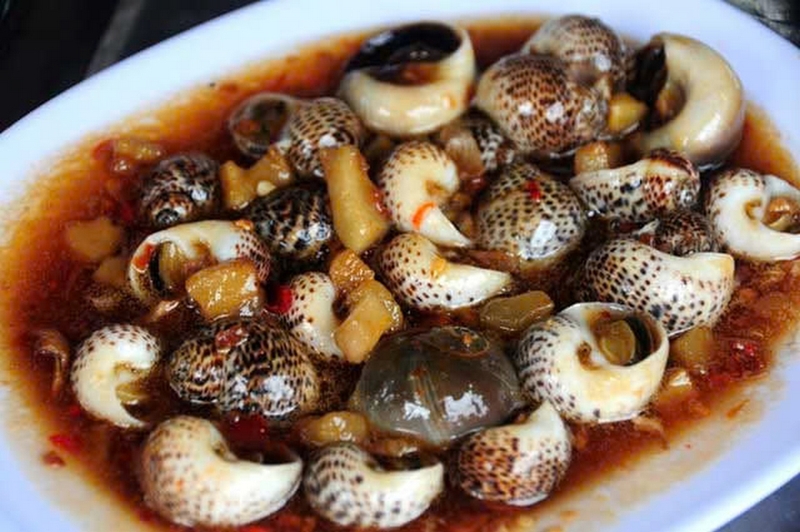 Ốc bông ảnh 6