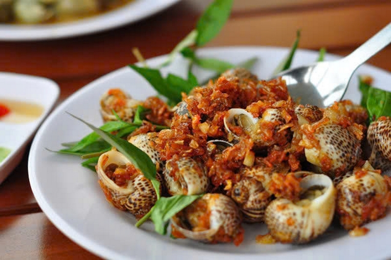 Ốc bông ảnh 7