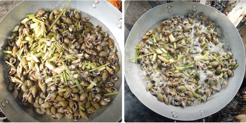ốc cà na hấp sả 6