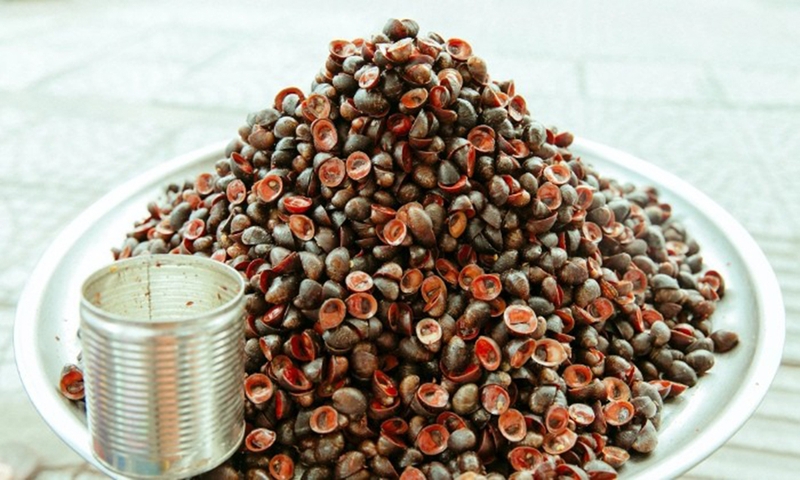 Ốc dừa - 02