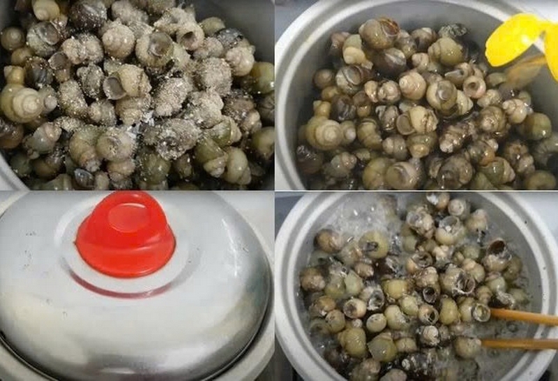ốc gạo xào sả ớt ảnh 4