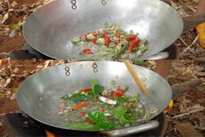 ốc hút (4)