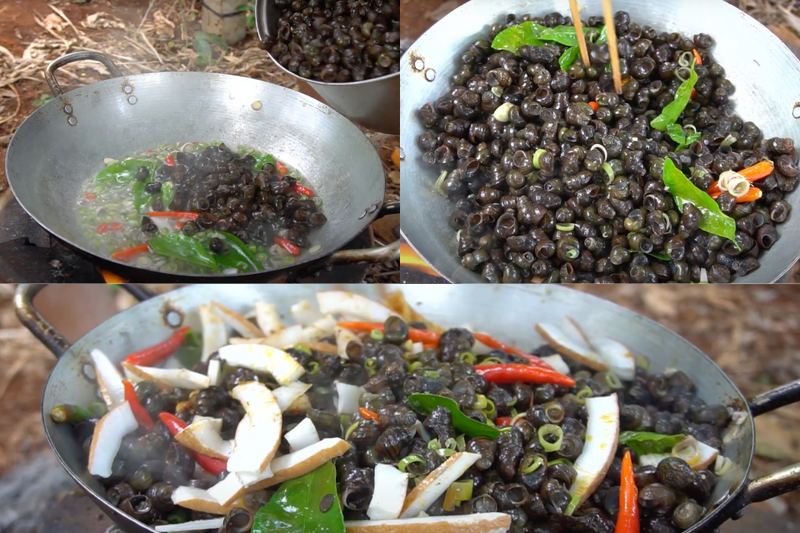 ốc hút (5)