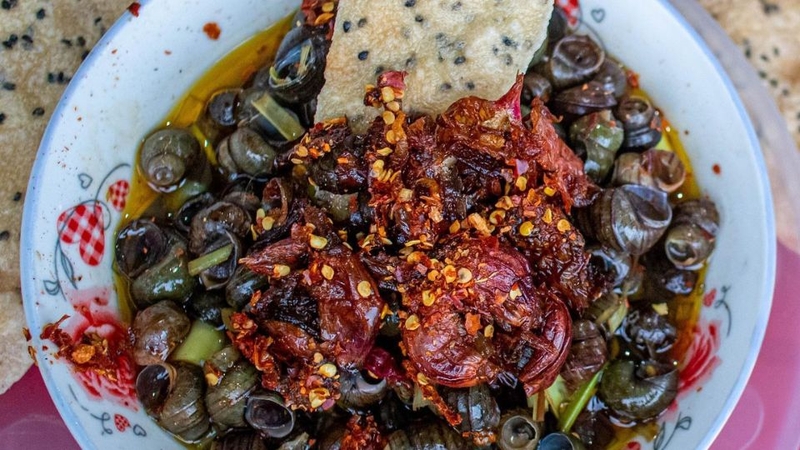 Giới thiệu về ốc hút Điện Phương