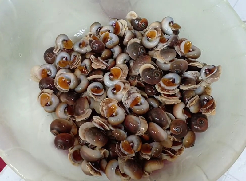 ốc mỡ xào bơ tỏi hình 5