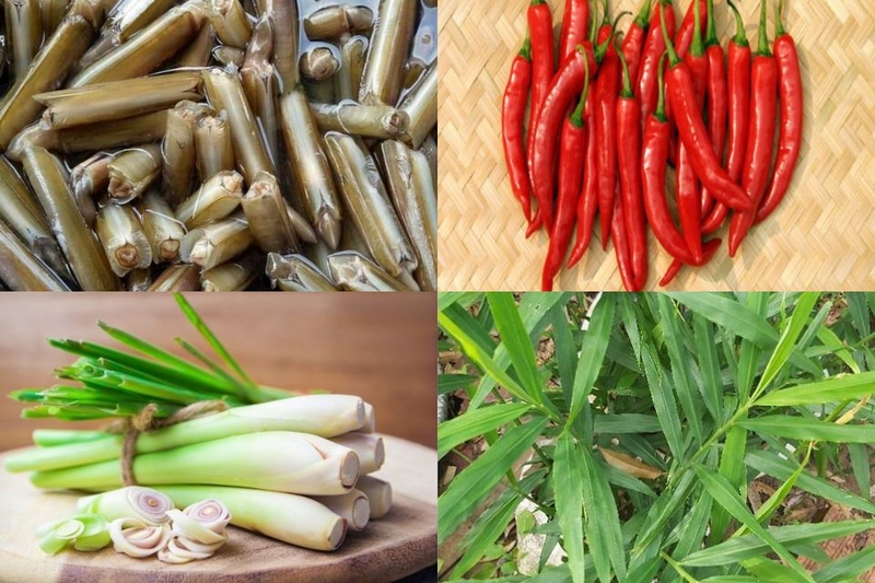 Một số nguyên liệu cần chuẩn bị cho món ốc móng tay hấp sả