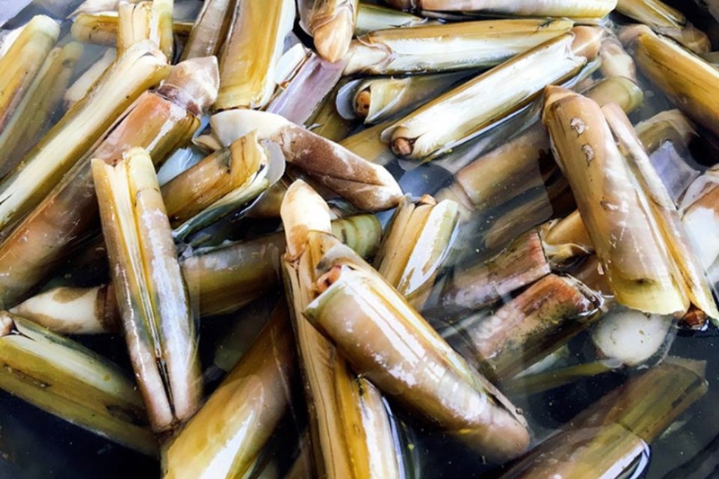 ốc móng tay hấp sả 1