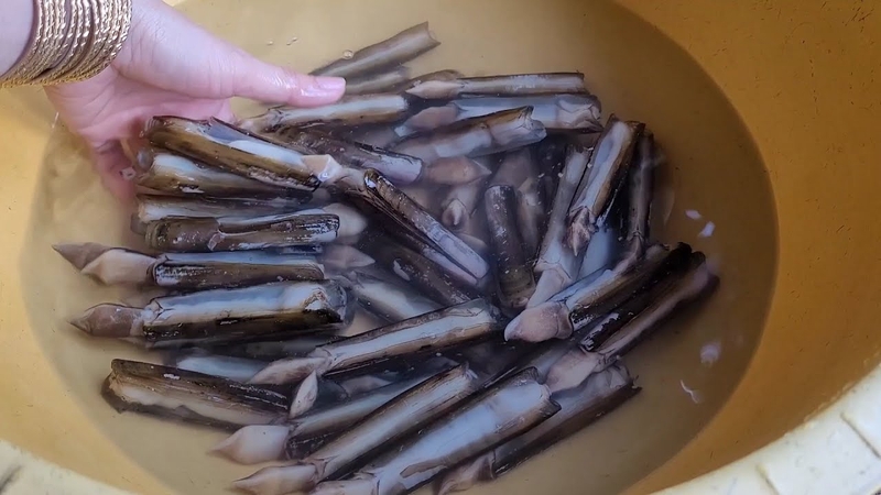 ốc móng tay nướng bơ hành 2